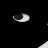 abeille