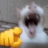 Chromation_fr